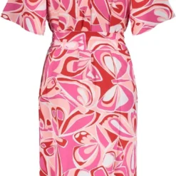 Geisha - Jurk - Roze -Trendy Meid Verkoop 681x1200