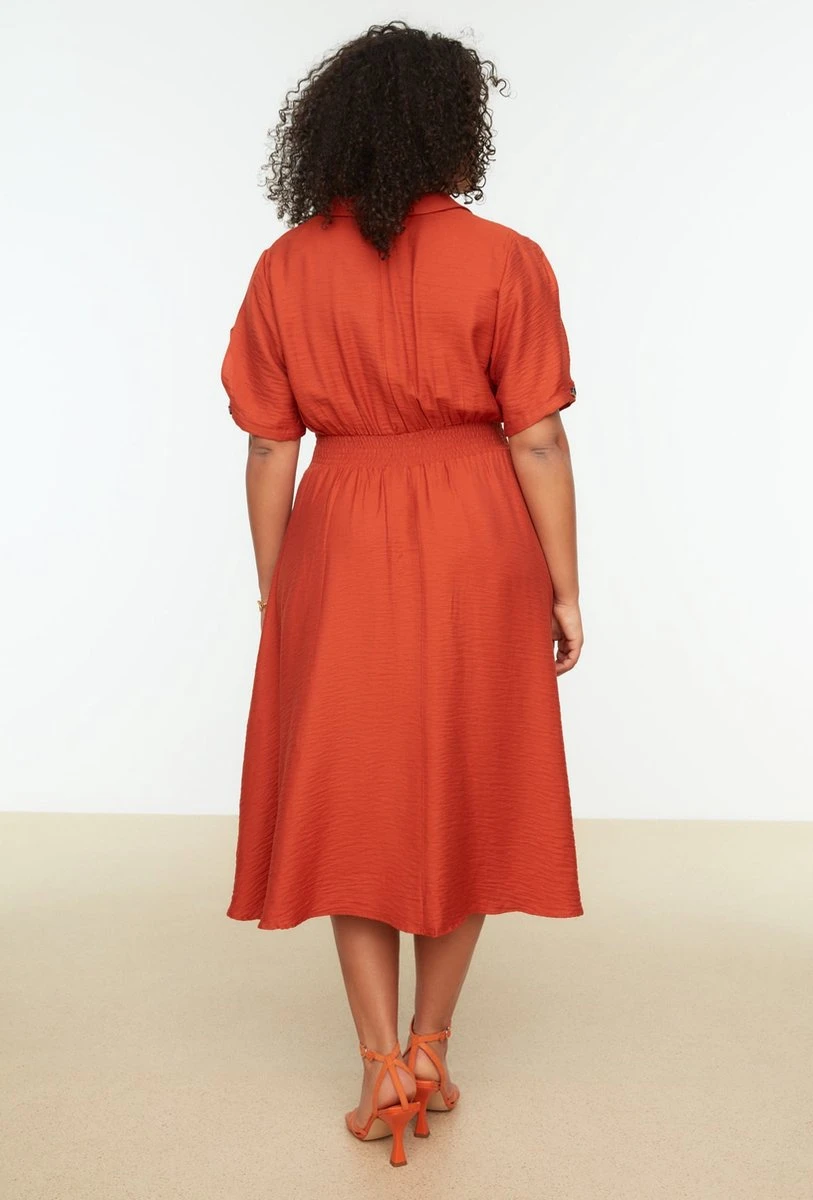 Trendyol Vrouwen Standaard Mouw Kraag A-lijn Plus Size Jurk 5 Trendyol Vrouwen Standaard Mouw Kraag A-lijn Plus Size Jurk - Afbeelding 5